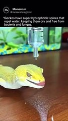 #viral# crazy # video #. Popular mother#rave mother