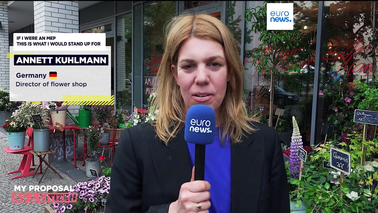 Elecciones europeas: ¿Qué quieren los votantes, qué prometen los candidatos? Episodio extra