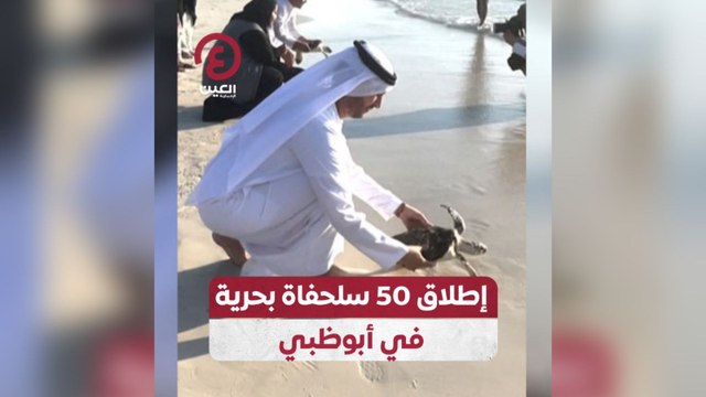 إطلاق 50 سلحفاة بحرية في أبوظبي
