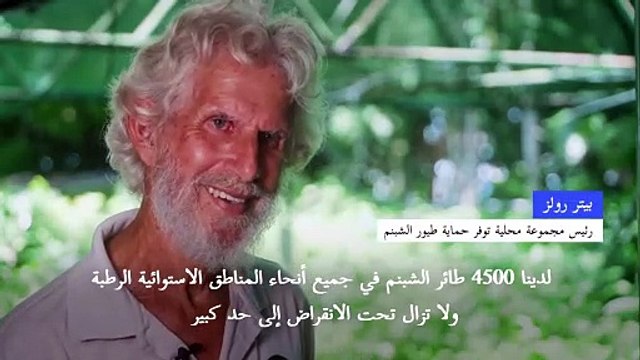 طيور الشبنم السيئة المزاج والمماثلة حجماً للبشر تواجه خطر الانقراض في استراليا