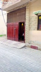 Goad Actor: Provoking for Performance