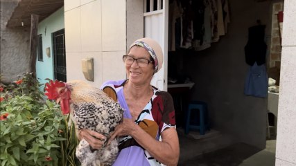 CONHEÇA O GALO DE ESTIMAÇÃ DE MARIA CUSTUREIRA DE ITAMBÉ