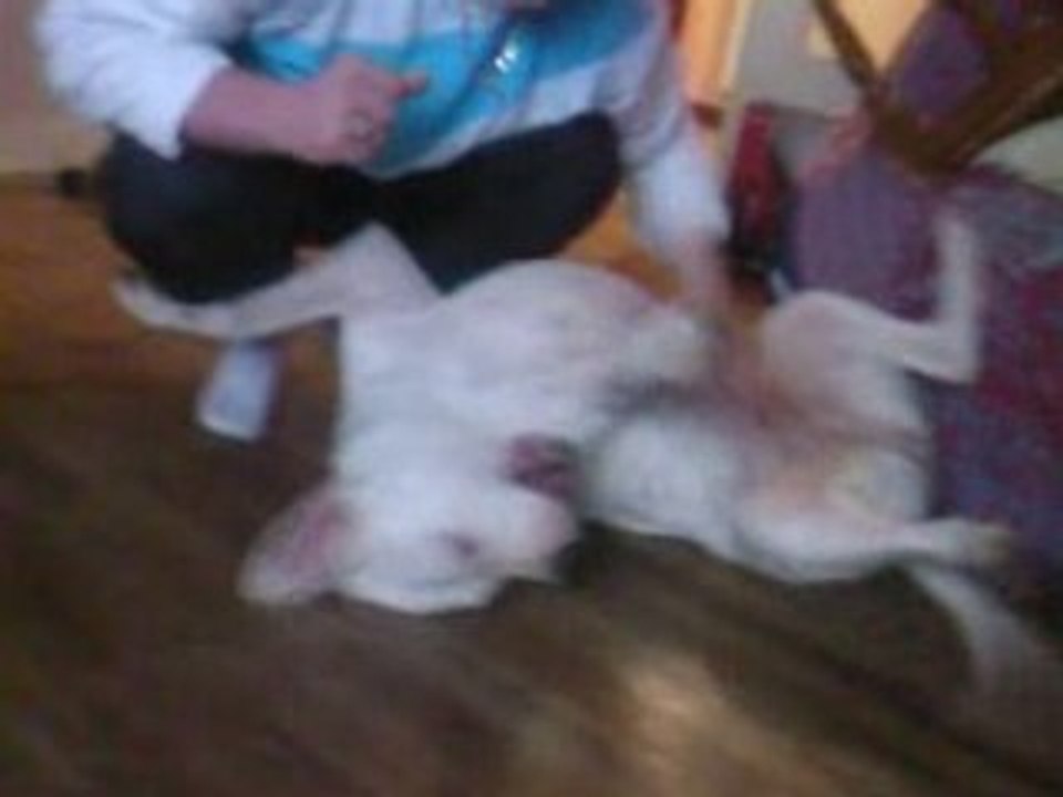 Lola10