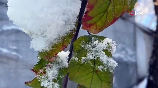 66 köy yolu ulaşıma kapandı