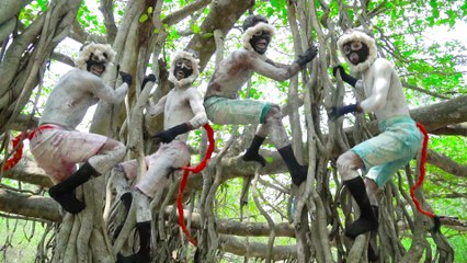 Don't Miss Exclusively Monkey funniest comedy vedio