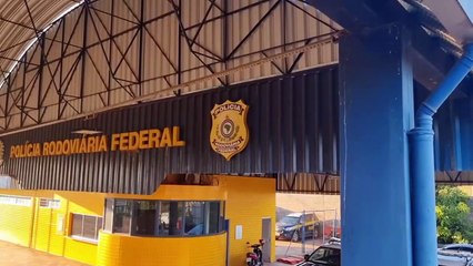 PRF apreende 1,4 tonelada de maconha em Francisco Alves