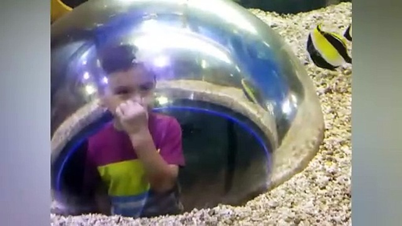 Funny Kids