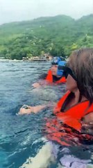 Denizde yüzerken karşılaştıkları olay akıllarını aldı