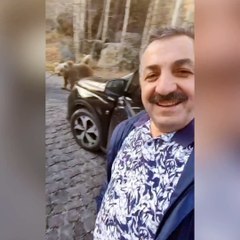 Erzurumlu vatandaşın boz ayılarla sohbeti güldürdü