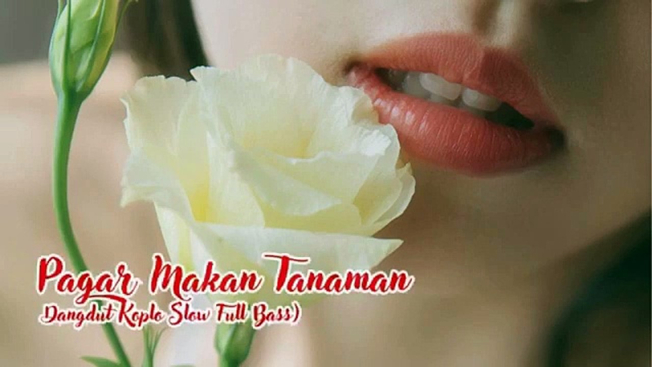 D2- Pop Dangdut Terpopuler Pada Masanya.