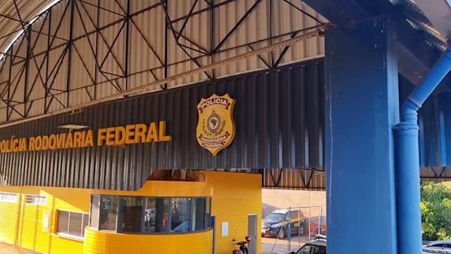PRF apreende mais de uma tonelada de maconha escondida em carga de soja
