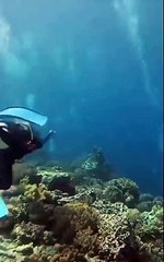 Balık adamlar depreme denizin altında yakalandı. Çoğunluk merak ediyordu