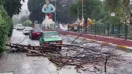 Aydın'ı sağanak ve fırtına vurdu. Ağaçlar devrildi, araçlar yolda mahsur kaldı