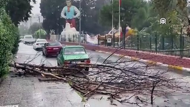 Aydın'ı sağanak ve fırtına vurdu. Ağaçlar devrildi, araçlar yolda mahsur kaldı