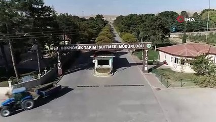 Télécharger la video: Görenler hayrete düştü. Koyun sürüsü dakikalarca döndü