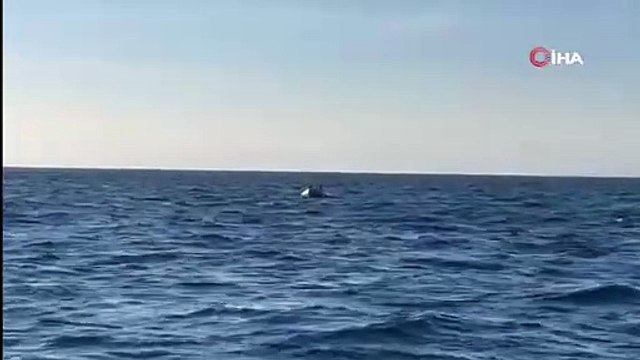 Yunan Sahil Güvenlik ölüme terk etti. Türk Sahil Güvenlik kurtardı