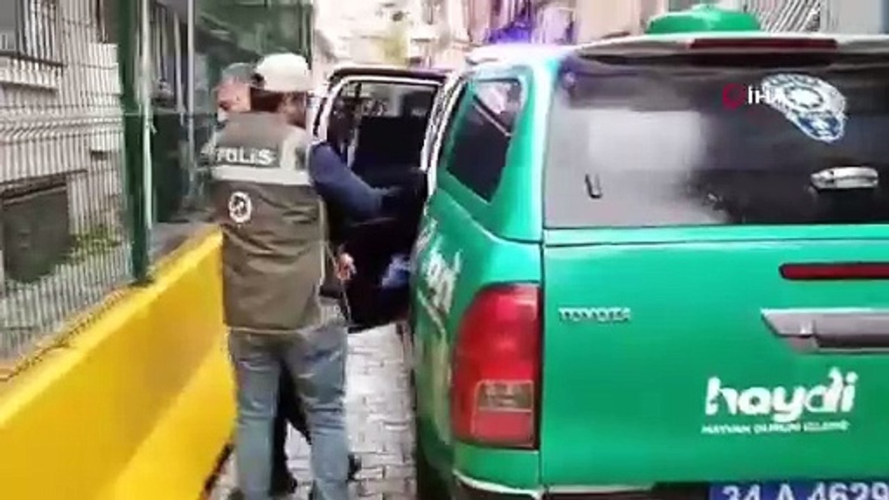 Fatih’te kedileri toplayan kişinin işyerinden çok sayıda ölü kedi çıktı