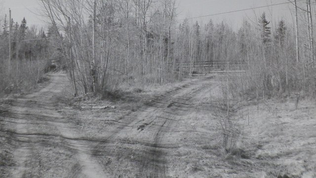 Arts visuels: une nouvelle exposition de Denis Rioux au Centre d'artistes Vaste et Vague