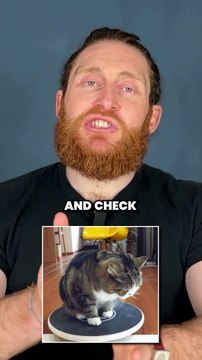 Boost Your Google Ads Conversion by Avoiding These 3 Pitfalls