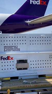 ABD ile Çin arasındaki 51 yıllık Panda diplomasisi bitti. Pandalar Çin'e geri döndü