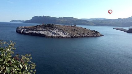 Arıza yapan yük gemisi 2 gün boyunca Karadeniz'de mahsur kaldı