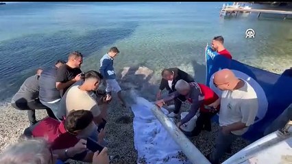 Fethiye'de 200 bin levrek yavrusu denize salındı