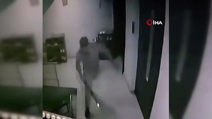 Yürek sızlatan görüntü! Kediye sopayla acımasızca vurdu