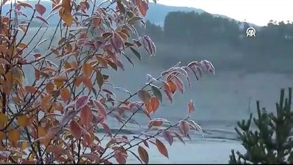 Ardahan ve Kars'ta kırağı etkili oldu