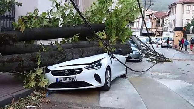 Bursa'da lodos! Ağaç ve elektrik direği araçların üzerine devrildi