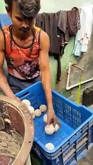 Tennis Balls Biggest Factory