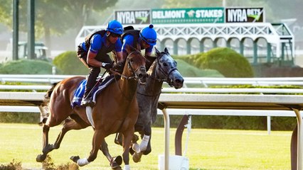 Insight on Kentucky Derby Runners at the Belmont & Betting Tips