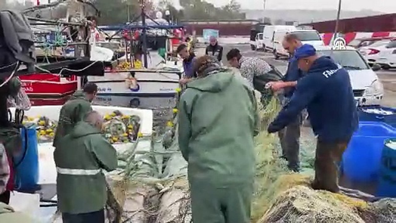 Sarıkanat değil bunlar gerçek lüfer. Tekirdağ'da lüfer bolluğu yaşanıyor