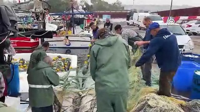 Sarıkanat değil bunlar gerçek lüfer. Tekirdağ'da lüfer bolluğu yaşanıyor