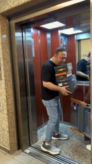 Cat vs. Cucumber: The Ultimate Showdown!