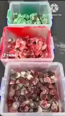 Protesto etmek için Filistin bayrağı renklerine boyadıkları fareleri McDonalds'a saldılar