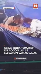 ¡Alerta en Quillacollo! Buscan a 'roba-tomates'