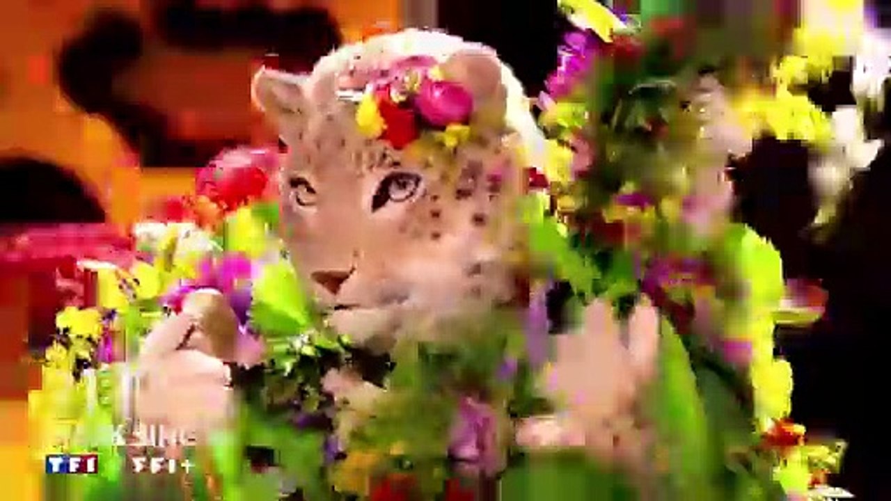 "Mask Singer" 2024 : Qui se cache derrière le costume du "Joker", la 2e star internationale de la saison 6 ?