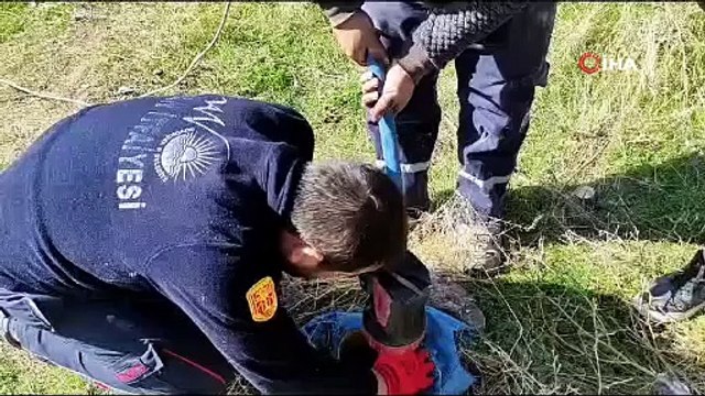 Yavru köpek sondaj kuyusuna düştü. İtfaiye güçlükle kurtarıldı