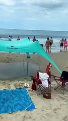 Binlercesi kıyıya vurdu. Sahildekiler şaşkınlıktan ne yapacağını bilemedi