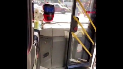 Engelli vatandaşı otobüse bindirmeyen şoföre cezai işlem