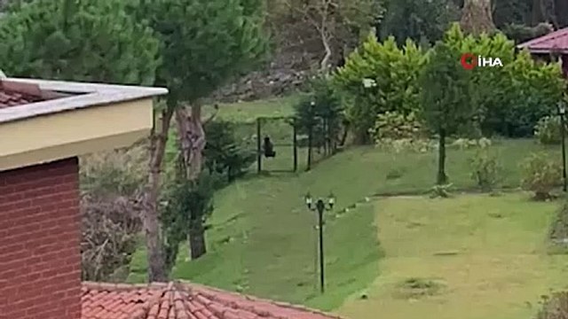 Denizden bu kez balık değil, ayı çıktı. ‘Ya nasip’ dediler, ağlarına takılana inanamadılar