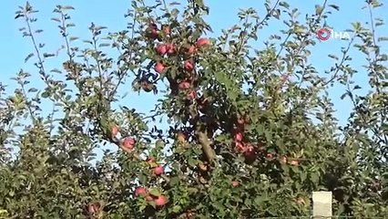 Aynı anda bayılan kardeşlerden biri öldü