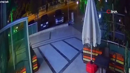 Karabük'te ayı kafeye girdi. Baba oğul böyle kurtuldu