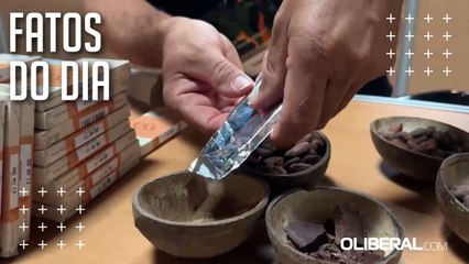 Cacau produzido no Pará é destaque em evento internacional