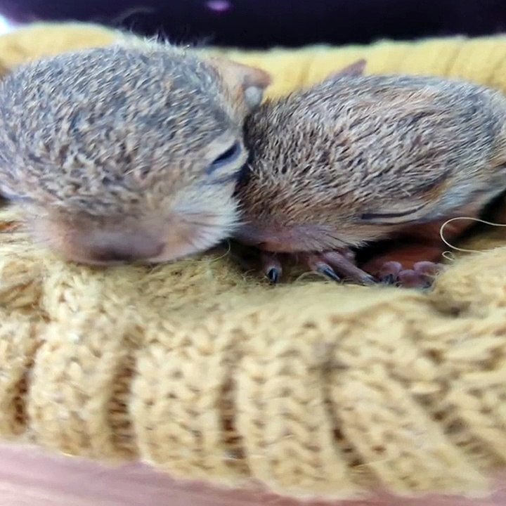 Doğa Koruma Milli Parklar'dan 'Haftaya bir iyilik masalıyla başlayalım' paylaşımı