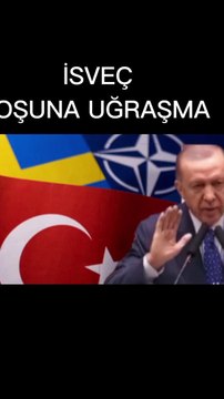 Attılar tuttular Kur'an yakan İsveç’e imza attılar. NATO'ya alınan İsveç Erdoğan'a teşekkür etti