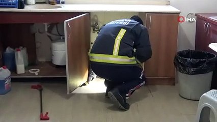 Kargo şirketine girdi personel gözlerine inanamadı