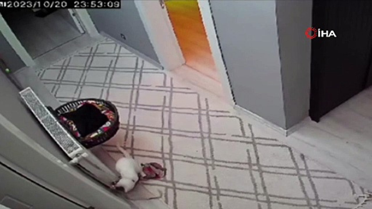 İzmir'de deprem anı kamerada: Yaşanan panik saniye saniye yansıdı