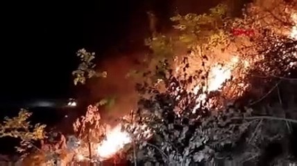 Otluk yangınında alevler demiryoluna sıçradı, yük treni 2 saat raylarda bekledi