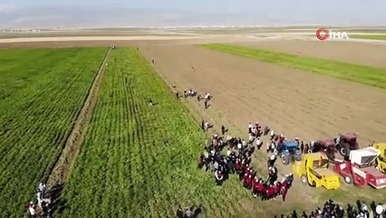 Hasadı başladı 2 çeşit kanserin baş düşmanı. Tarlada kilosu 30 markette 99 TL